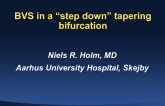Case #2: BRS in a Step-Down Tapering Bifurcation