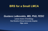 Case #11: BRS for a Small LMCA