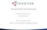 Tendyne: Design, Clinical Results, and Next Steps