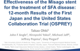 TCT 530: Effectiveness of the Misago Stent for the Treatment of Superficial Femoral Artery Disease: 12-Month Results of the First Japan and the United States Collaboration Trial (OSPREY)