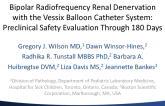 Bipolar Radiofrequency Renal Denervation With The Vessix Balloon Catheter System: Preclinical Safety Evaluation Through 180 Days