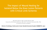 The Impact of Wound Healing for Isolated Below the Knee Lesion Patients with Critical Limb Ischemia