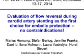 Evaluation of flow reversal during carotid artery stenting as the first choice for embolic protection - no contraindications!