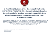 2-Year Clinical Outcome of the Randomized, Multicenter DUTCH PEERS (TWENTE II) Trial, Comparing Cobalt-Chromium Zotarolimus-Eluting Resolute Integrity Stents and Platinum-Chromi___