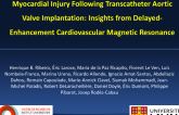 Myocardial Injury Following Transcatheter Aortic Valve Implantation:  Insights from Delayed-Enhancement Cardiovascular Magnetic Resonance_