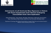 Determinants of Left Ventricular Mass Regression in Patients with Severe Symptomatic Aortic Stenosis Undergoing Transcatheter Aortic Valve Implantation