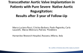 Trancatheter Aortic Valve Implantation in Patients with Pure Severe Native Aortic Regurgitation: Results after 3 Year of Follow-Up