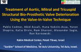 Treatment of Bio-Prosthetic Valve Deterioration Using The Valve-in-Valve Technique