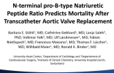 N-terminal Pro-B-type Natriuretic Peptide Ratio Predicts Mortality After Transcatheter Aortic Valve Replacement
