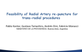 Feasibility of Radial Artery re-puncture for trans-radial procedures