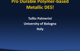 Pro Durable Polymer-Based Metallic DES!
