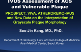 IVUS Assessment of ACS and Vulnerable Plaque: Review of PROSPECT, VIVA, and ATHEREMO-IVUS and New Data on the Interpretation of Greyscale Plaque Morphology