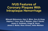 TCT 344: IVUS Features of Coronary Plaques with Intraplaque Hemorrhage