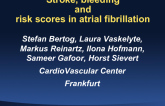 Stroke, Bleeding, and Risk Scores in Atrial Fibrillation