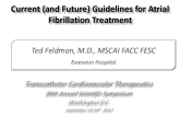 Current (and Future) Guidelines for Atrial Fibrillation Treatment