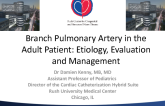 Branch Pulmonary Artery in the Adult Patient: Etiology, Evaluation, and Management
