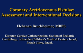 Coronary Arteriovenous Fistulae: Assessment and Interventional Decisions