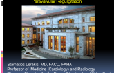 Intraprocedural Assessment and Treatment of Paravalvular Regurgitation