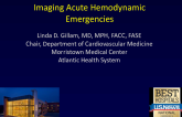 Imaging Acute Hemodynamic Emergencies