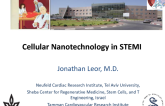 Cellular Nanotechnology in STEMI