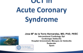 Case #4: OCT in Acute Coronary Syndrome