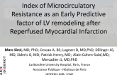 TCT 16: Index of Microcirculatory Resistance as an Early Predictive Factor of LV Remodeling After Reperfused Myocardial Infarction