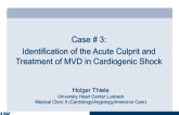 Case #3: Identification of the Acute Culprit and Treatment of MVD in Cardiogenic Shock