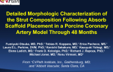 TCT 614: Detailed Morphologic Characterization of the Strut Composition Following Absorb Scaffold Placement in a Porcine Coronary Artery Model Through 48 Months
