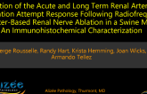 TCT 407: Evaluation of the Acute and Long-term Renal Artery Reinnervation Attempt Response Following Catheter-Based Renal Denervation in a Swine Model: An Immunohistochemical Characterization