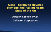 Gene Therapy to Reverse Remodel the Failing Heart: State of the Art