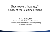 The Shockwave Lithoplasty Concept for Calcified Lesions