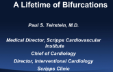 Special Lecture: What Have I Learned from Treating Bifurcation Lesions in the Last 20 Years?