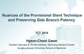 Nuances of the Provisional Stent Technique and Preserving Sidebranch Patency