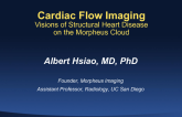 Cardiac Flow Imaging: Visions of Structural Heart Disease on the Morpheus Cloud