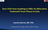 Does IVUS Have Anything to Offer for Bifurcation Treatment? From Theory to Data