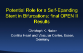 Potential Role for a Self-Expanding Stent in Bifurcations: Final OPEN II Results