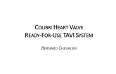 Colibri Valve - Technology Review, FIM Experience, and Case Examples