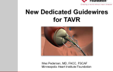 New Dedicated Guidewires for TAVR