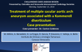Case #2: A Multisaccular Aortic Arch Aneurysm Associated with a Kommerell Diverticulum