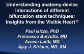 Understanding Anatomy-Device Interactions of Different Bifurcation Stent Techniques: Insights From the Visible Heart Lab