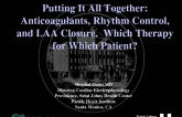 Putting it All Together: Anticoagulants, Rhythm Control, and LAA Closure  Which Therapy for Which Patient?