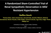 Symplicity Flex: A Prospective, Randomized, Sham-Controlled Trial of Renal Sympathetic Denervation in Patients with Mild Refractory Hypertension