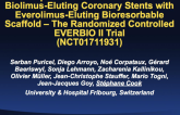 EVERBIO II: A Prospective, Randomized Trial of an Everolimus-Eluting Bioresorbable Scaffold Versus Everolimus-Eluting and Biolimus-Eluting Metallic Stents in Patients with Coronary Artery Disease