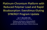 Platinum-Chromium Platform with Reduced Polymer Load and Rapid Bioabsorption: Everolimus-Eluting SYNERGY Program Update