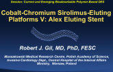 Cobalt-Chromium Sirolimus-Eluting Platforms V: Alex Eluting Stent