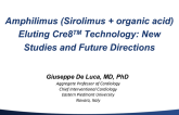 Amphillic Sirolimus-Eluting Cre8 Technology - New Studies and Future Directions