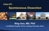 Case #1: Spontaneous Dissection