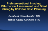 Preinterventional Imaging, Bifurcation Assessment, and Stent Sizing by IVUS for Case Planning