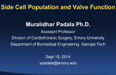 Side Cell Population and Valve Function