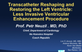 Transcatheter Reshaping and Restoring the Left Ventricle: Less Invasive Ventricular Enhancement Procedure